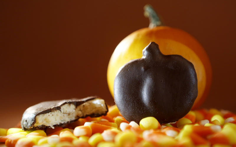Coconut bars with almonds and dark chocolate