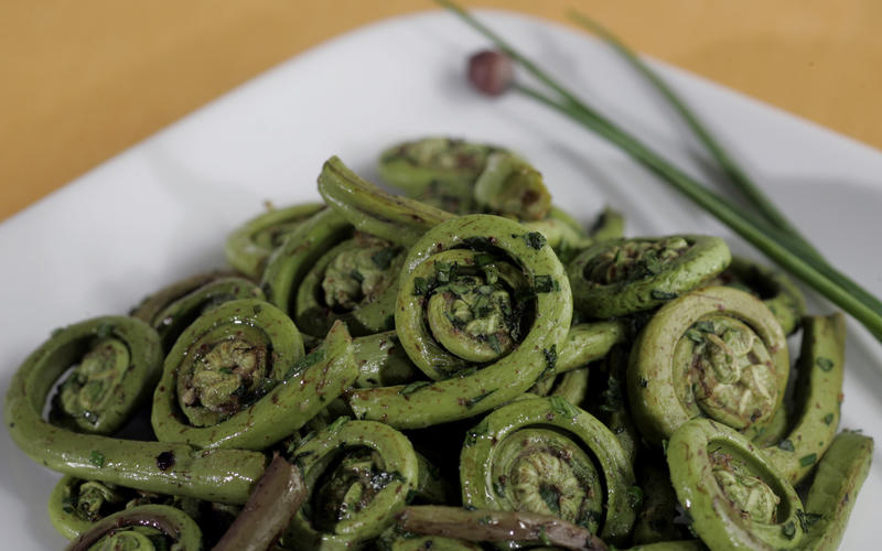 Fiddleheads with fresh herbs
