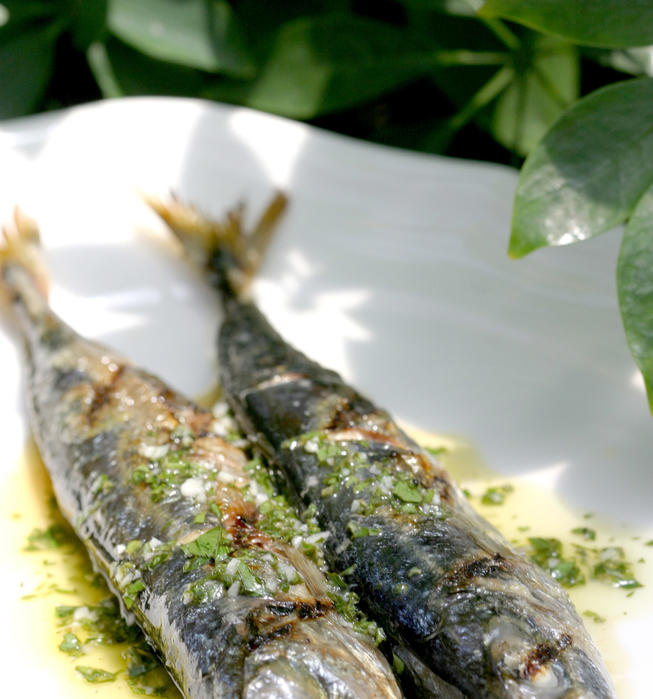 Grilled mackerel with salmoriglio