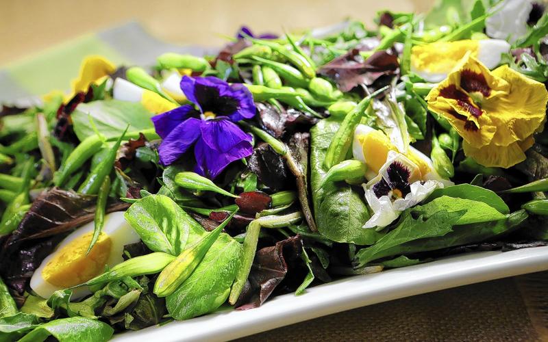Mixed green salad with hard-boiled eggs and radish pods