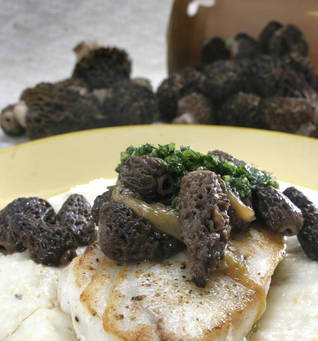 Pan-roasted halibut with grits, morels and spring onions