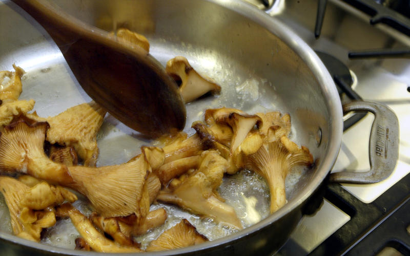 Seared turkey with wild mushroom sauce
