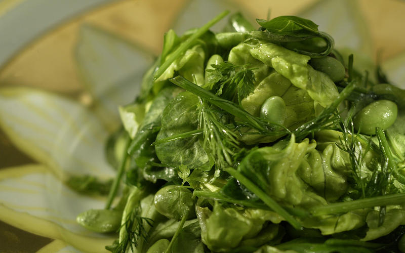 Spring herb salad