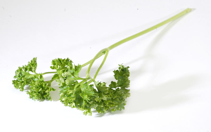 Wilted parsley