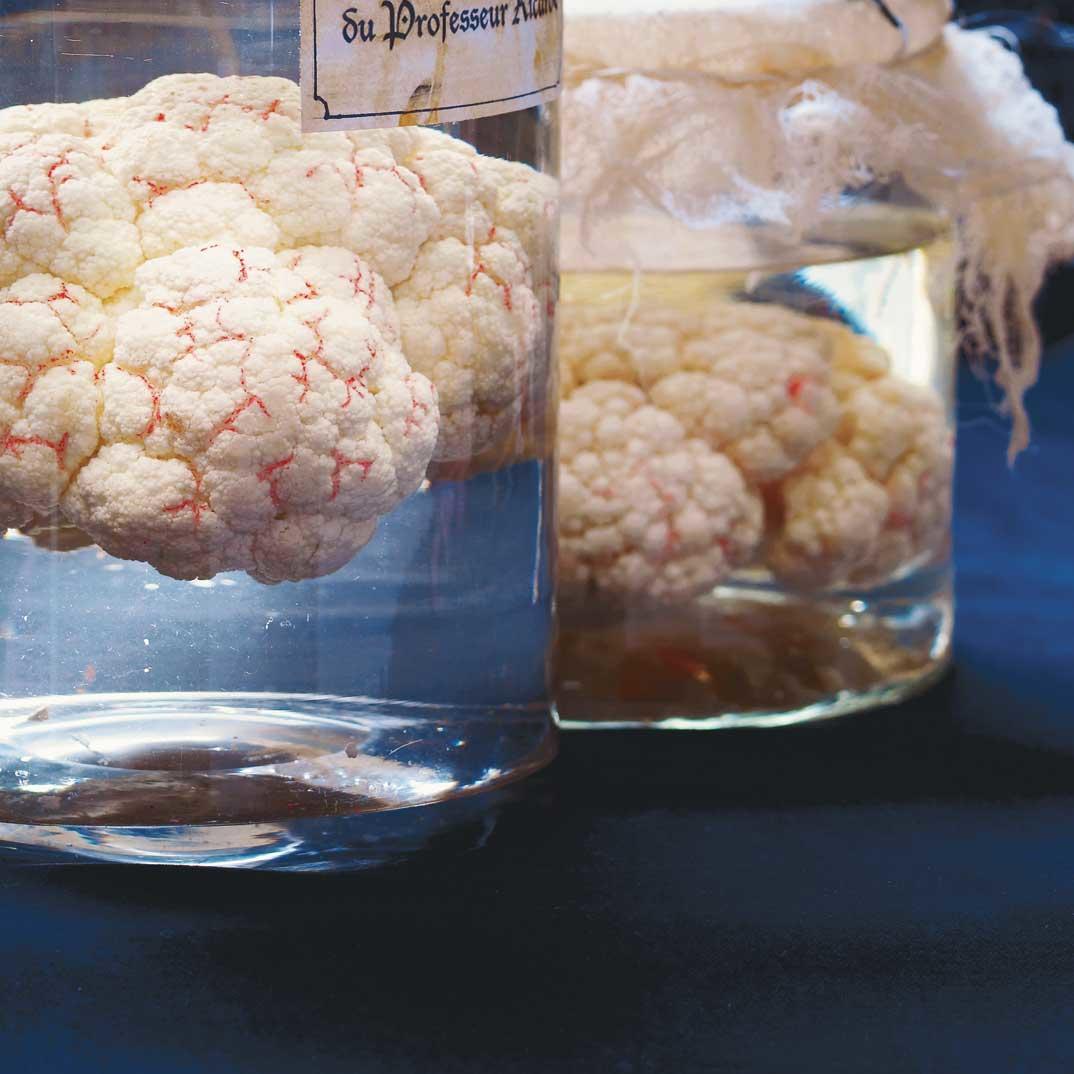 Brain in a Jar