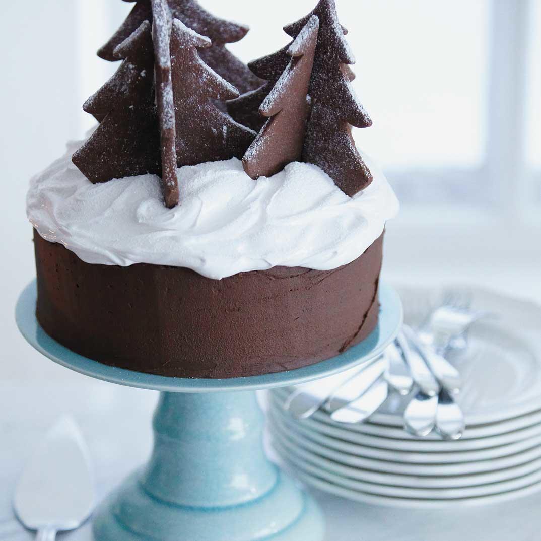 Chocolate Christmas Cake