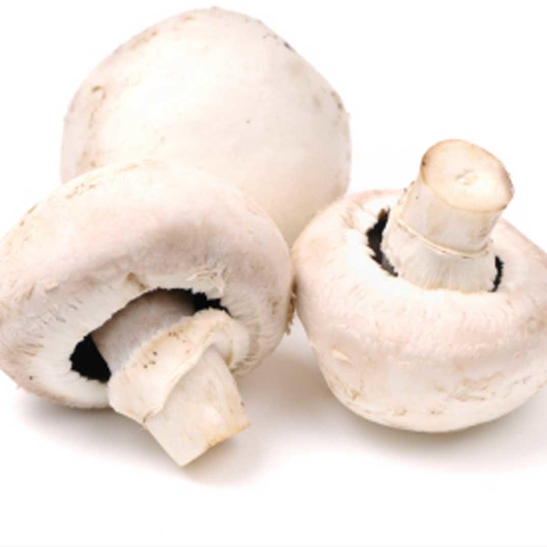 Creamy Mushroom Polenta