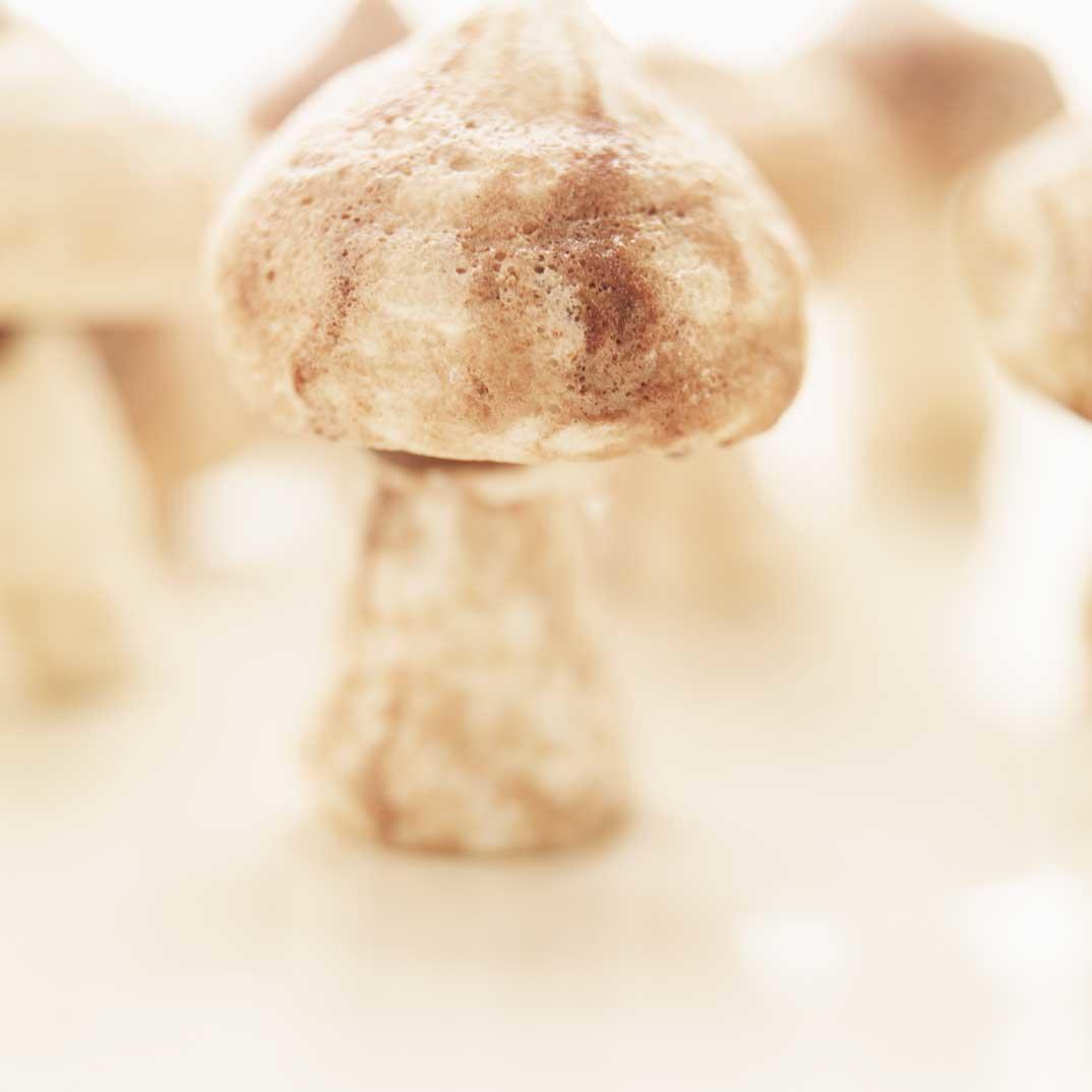 Meringue Mushrooms 