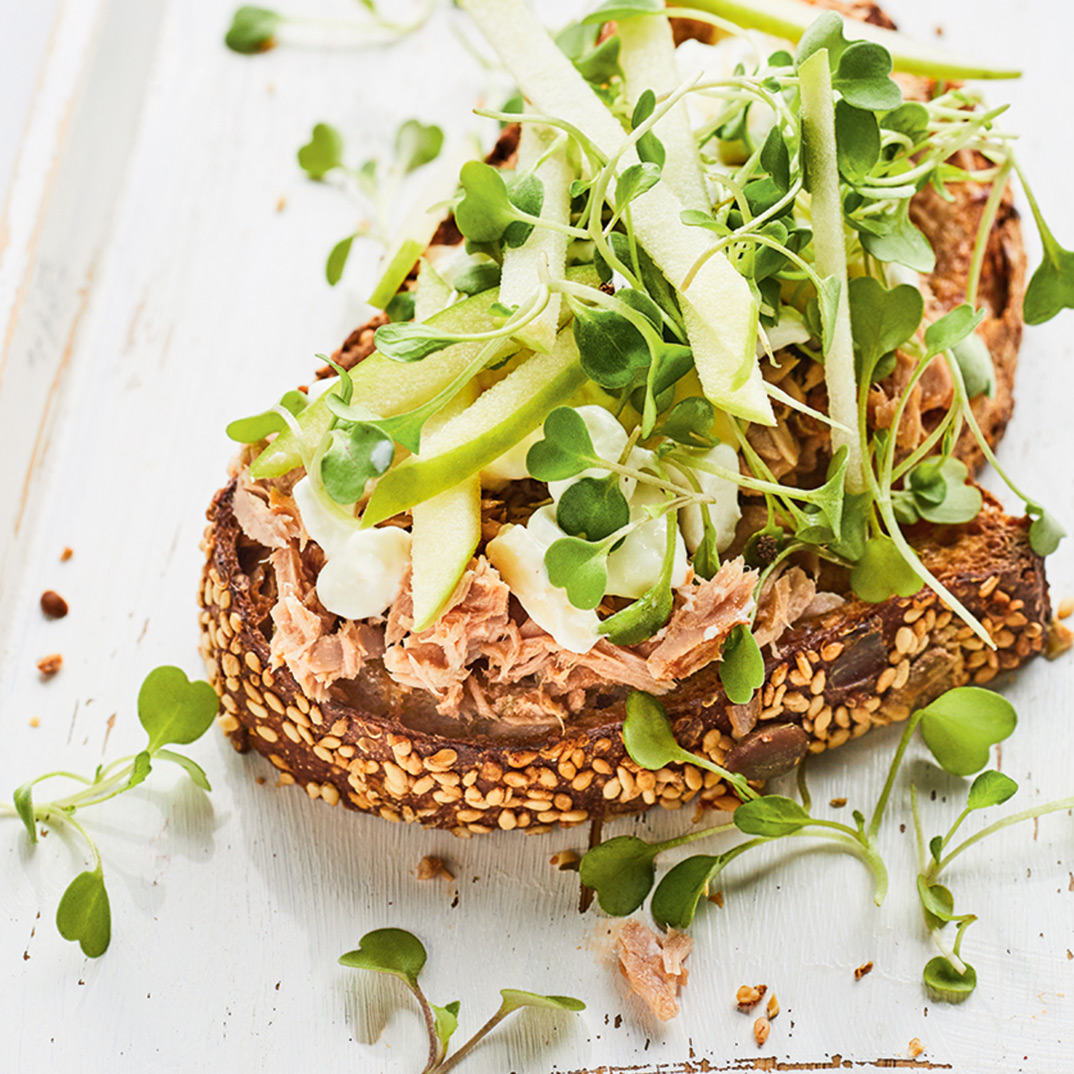 OpenFaced Tuna and Cottage Cheese Sandwiches Recipes List