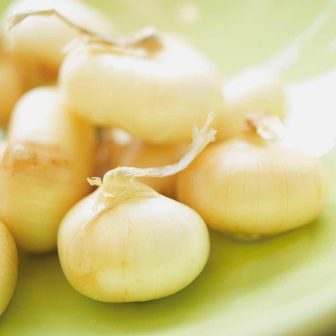 Quick Duck Rillettes