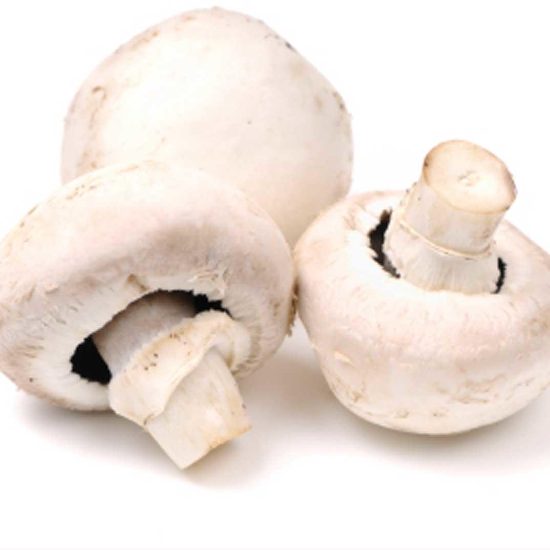 Sautéed Mushrooms 