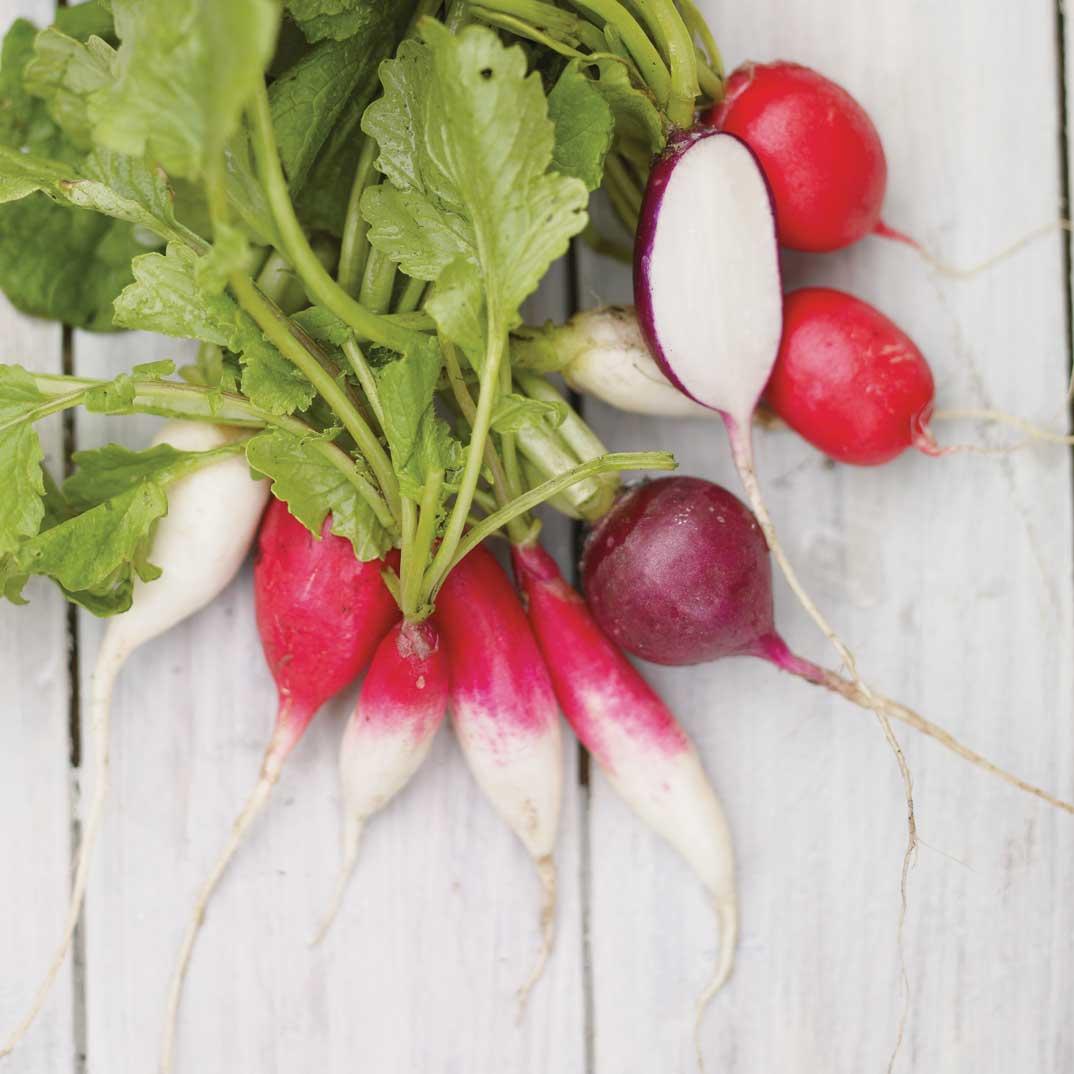 Sautéed Radishes and Zucchini
