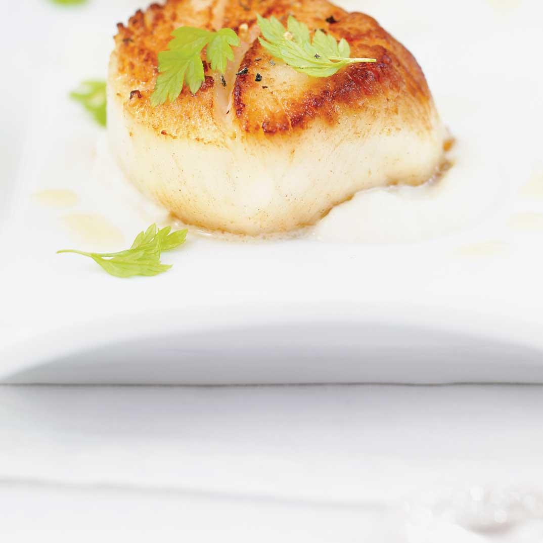 Seared Scallops on Celery Root Purée