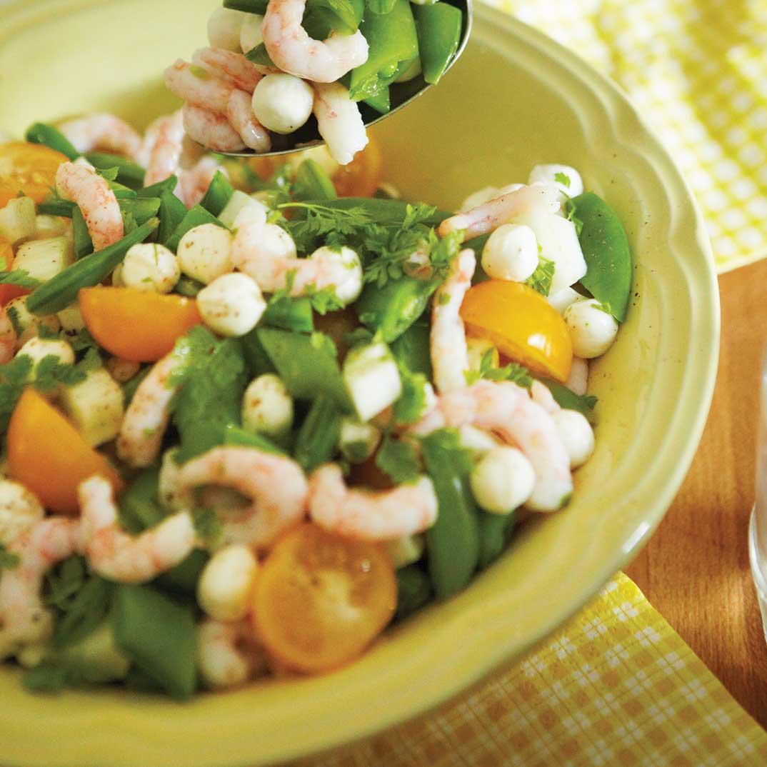 Shrimp, Tomato, and Bocconcini Salad