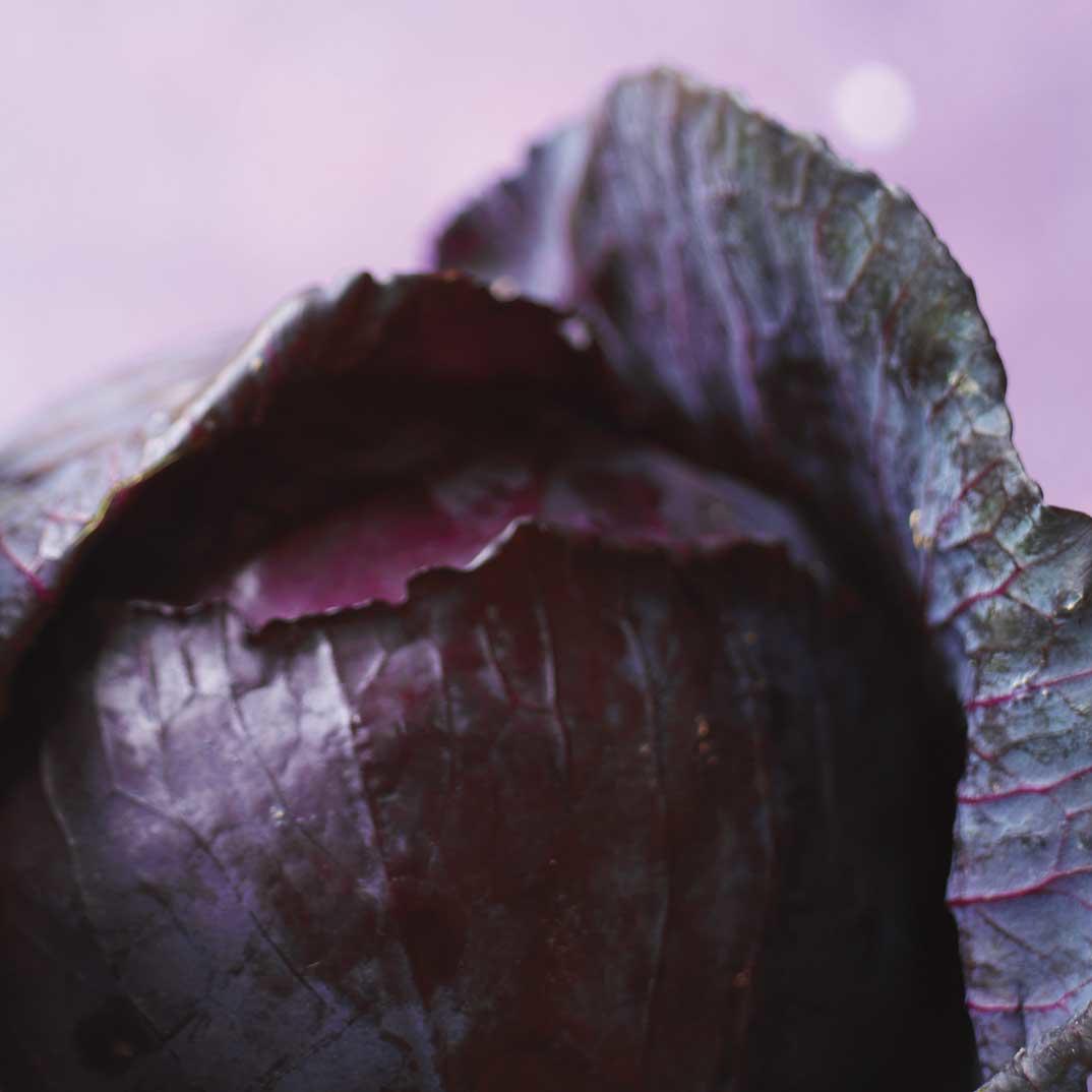 Stewed Red Cabbage with Mustard 